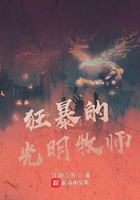 狂暴的光明牧师在线阅读