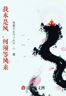 我本是風，何須等風來