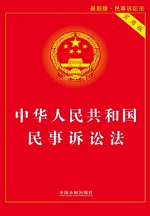 中华人民共和国民事诉讼法：实用版（2017年版）