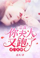 豪门危情:总裁你夫人又跑了