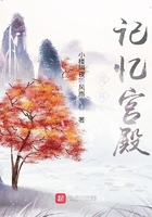 我有记忆宫殿在线阅读