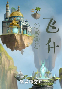 在武道中飛升