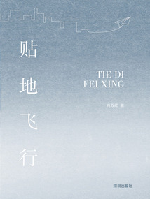 貼地飛行