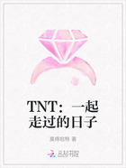 TNT：一起走过的日子在线阅读