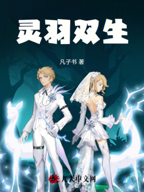 灵羽双生在线阅读