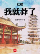 红楼:我就莽了在线阅读