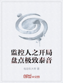 監控人之開局盤點極致泰音