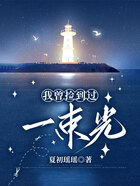 我曾捡到过一束光在线阅读
