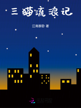 三猫流浪记在线阅读