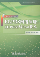 EGPRS网络演进在线阅读