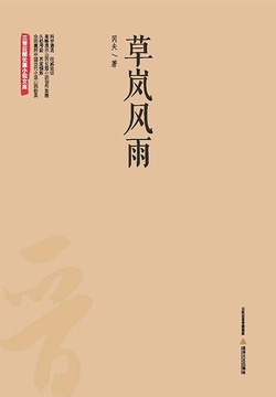 草岚风雨 封面