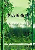 鲁山医侠传