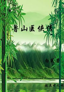 鲁山医侠传