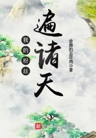 我的粉丝遍诸天