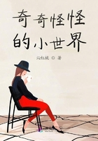 奇奇怪怪的小世界在线阅读