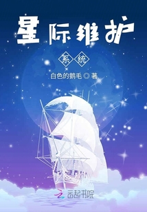 星际维护系统