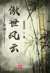 異世之傲世風云