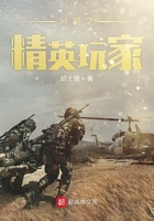 网游之精英玩家