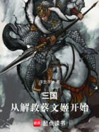 三国：从解救蔡文姬开始在线阅读