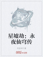 星墟劫：永夜仙穹传在线阅读