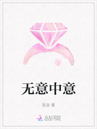 无意中意在线阅读