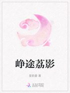 峥途荔影在线阅读