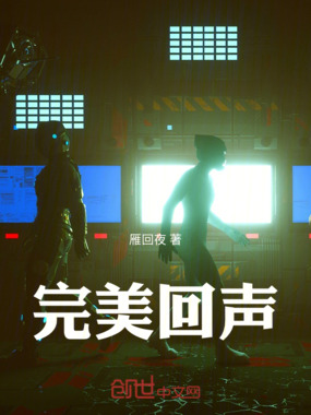 完美回声在线阅读