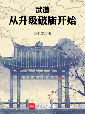 武道：从升级破庙开始在线阅读