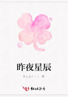 昨夜星辰在線閱讀