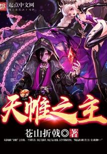 天帷之主