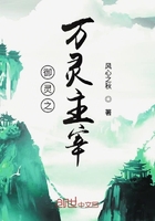 御灵之万灵主宰在线阅读