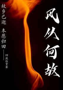風從何故