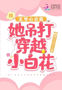 驚,!王爺心尖寵她吊打穿越小白花