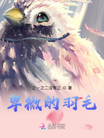 卑微的羽毛