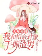 大年初四，我和相親對象手撕渣男在線閱讀