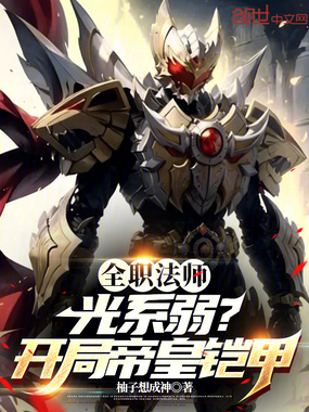 全职法师:光系弱?开局帝皇铠甲在线阅读