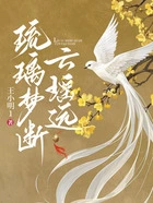 琉璃梦断云瑶远在线阅读