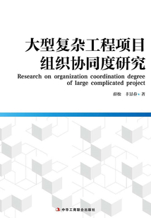 大型復雜工程項目組織協同度研究