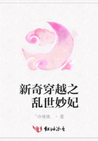 新奇穿越之 乱世妙妃在线阅读