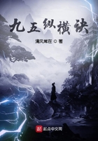 九五纵横诀在线阅读
