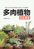 多肉植物完全图鉴