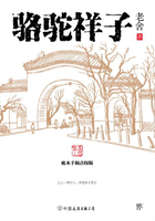 骆驼祥子在线阅读