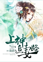 上神追妻路在线阅读
