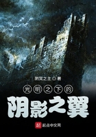 光明之下的陰影之翼在線閱讀
