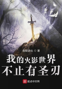 我的火影世界不止有圣刃