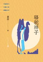 駱駝祥子在線閱讀