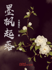 墨楓起落