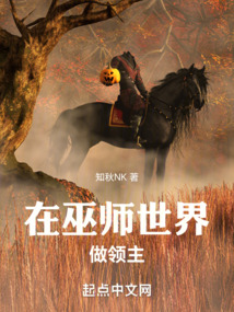 在巫師世界做領(lǐng)主