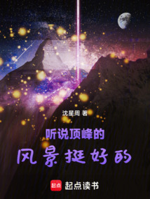 聽說頂峰的風景挺好的