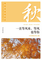 “我的青春我的梦”全国中学生校园美文精品集萃丛书:一直等风来,等风也等你在线阅读